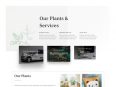 plant-nursery-services-page-116x87.jpg